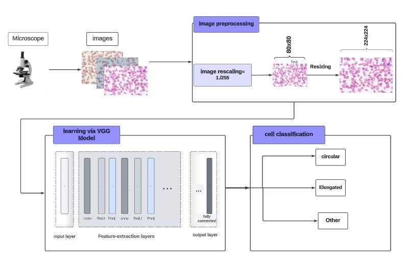 SK Detector — ML Model Architecture